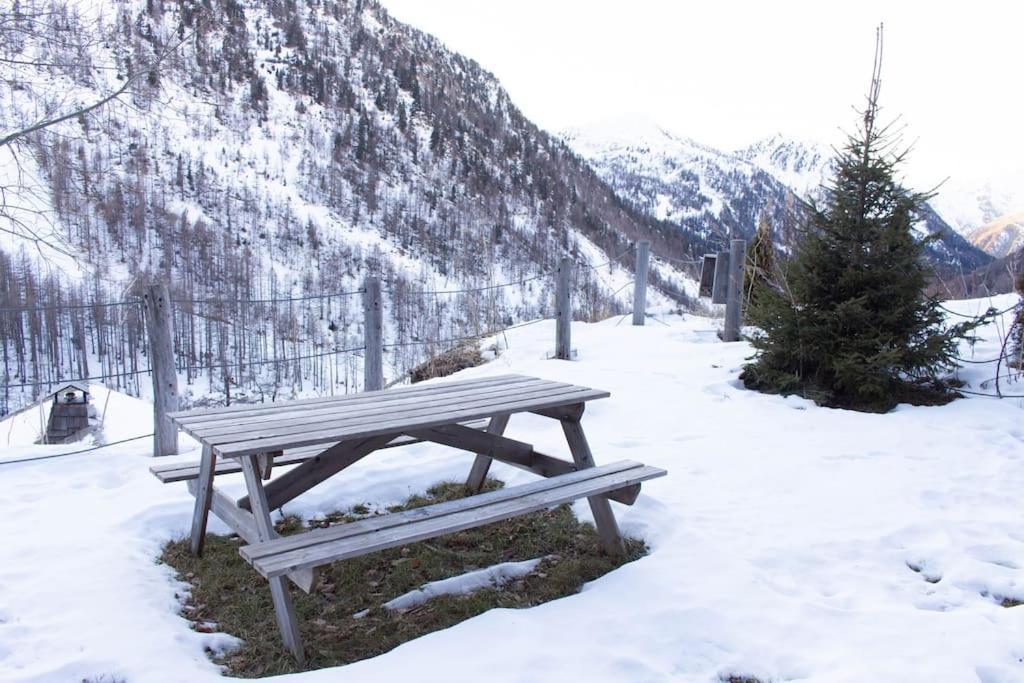 Rez De Chalet, Sauna Exterieur, Wifi, 4-6 Pers, 50M2 Isola 2000 Exterior foto